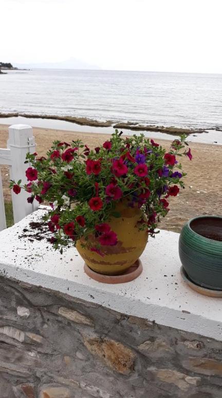 House Kokkalas On The Beach Pyrgadikia Esterno foto