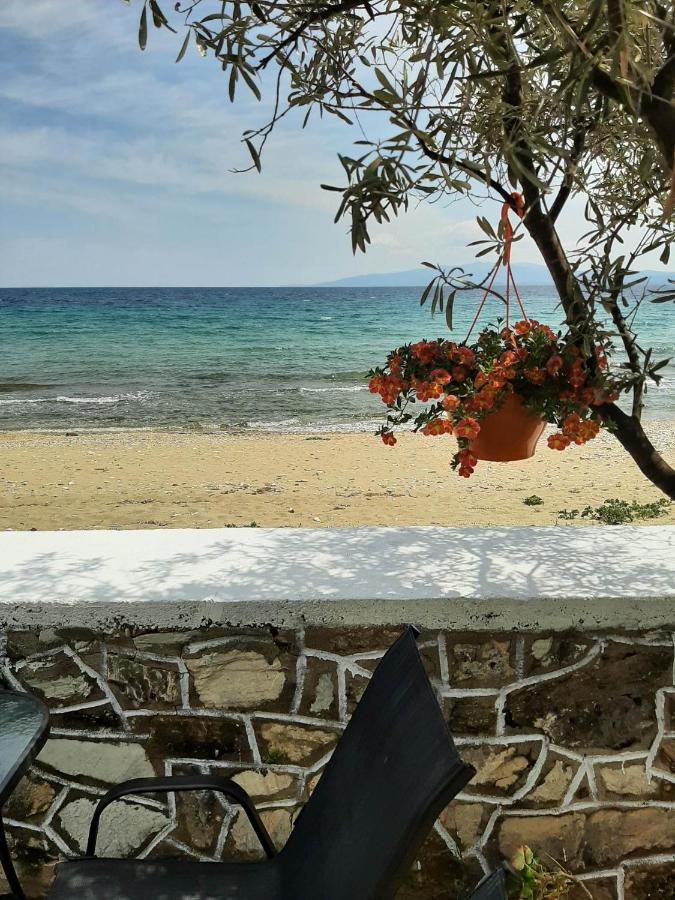 House Kokkalas On The Beach Pyrgadikia Esterno foto